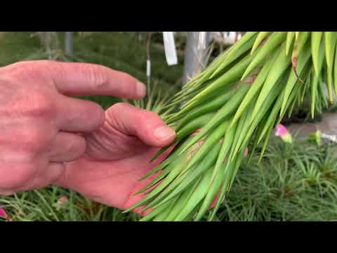 Tilly Talks: Nursery Aisle Tour