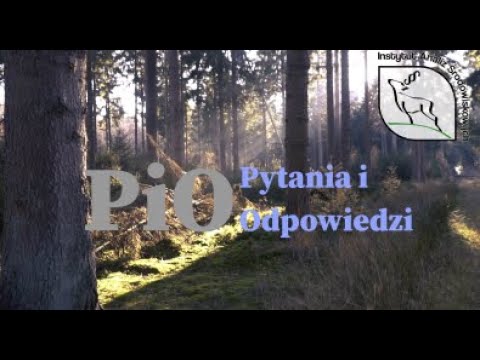 PiO nr 1: odległość od domów, szkody łowieckie, tereny wykluczone z obwodów łowieckich.