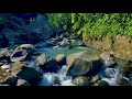 Relaxing Calm River Water flow Sounds stress reliever, helps deep sleep for study, meditation
