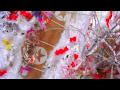 Katy Perry Ft Snoop Dogg California Gurls Official Music Video HD