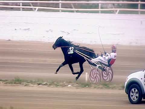 Trotto 10/03/2019 - 1ª corsa