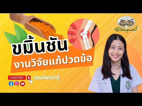 ขมิ้นชัน แก้ปวดข้อ ข้อเข่าเสื่อมกินได้ l สมุนไพรน่ารู้ (2023)