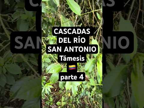 CASCADAS DEL RÍO SAN ANTONIO (parte 4) Támesis, Antioquia 🇨🇴 Colombia