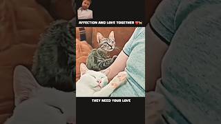 Download lagu https://youtube.com/shorts/QkDn1TKTiTY?si=mNGYX1j4jR0hBP8N mp3