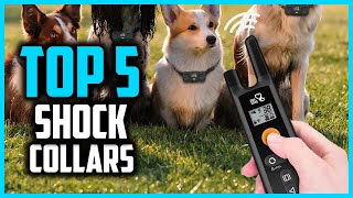 ✅ Top 5 Best Shock Collars 2026