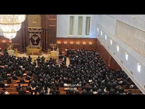 Belz Rebbe Counting Sefirah and Receiving Mazal Tov Wishes - Iyar 5782