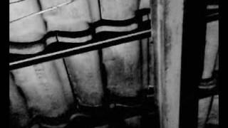 afterhours - musicista contabile