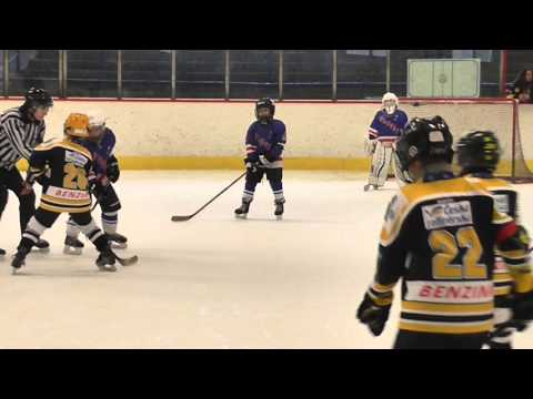 7.2.2016  Slovan - Verva Litvínov 3.třet. (19:6)