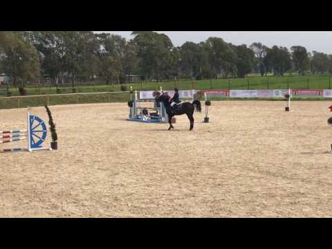 Giorgia Malatesta su Idenoir Lescouley Circuito FISE Progetto Sport 2017 - terzo posto 01.04.17