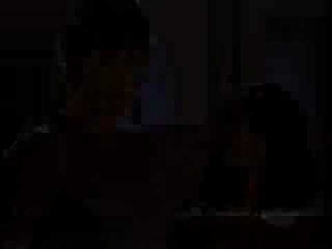 Emmanuelle Chriqui videos