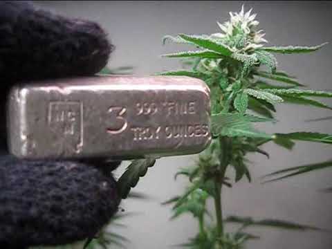 a couple of my favourite things