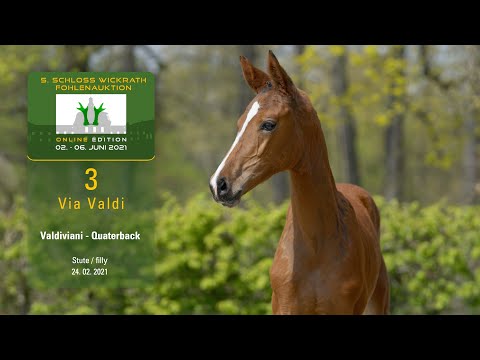 5. Schloss Wickrath Fohlenauktion Online Lot 3 Via Valdi Stute v. Valdiviani - Quaterback