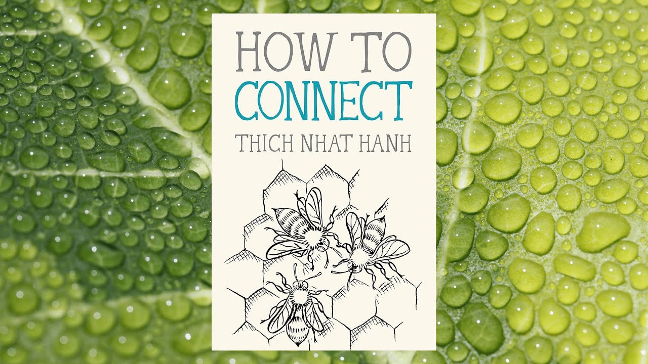 "How to Connect" by Thich Nhat Hanh | Full Audiobook | Mindful Meditation Guide