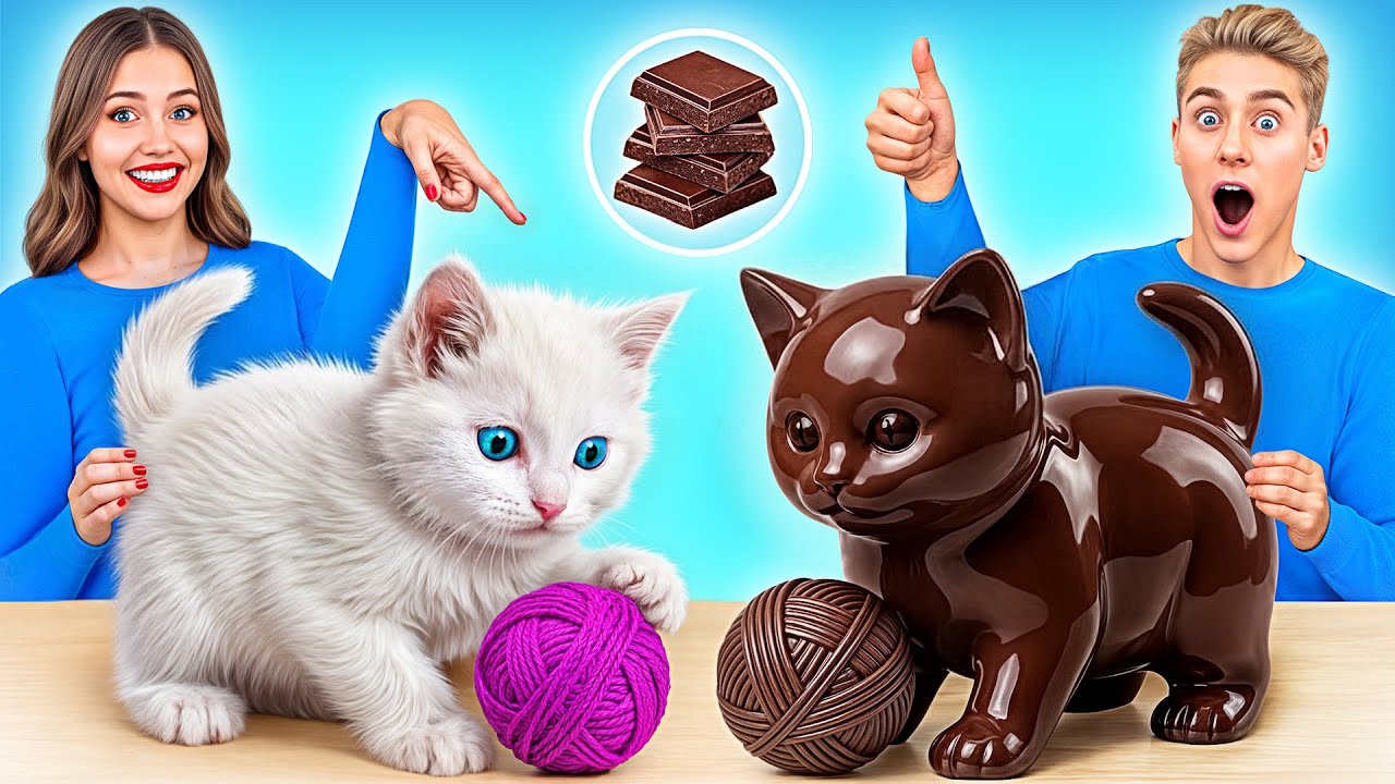 Real Food vs Chocolate Food Challenge | Awesome Culinary Recipes by Multi DO Challenge