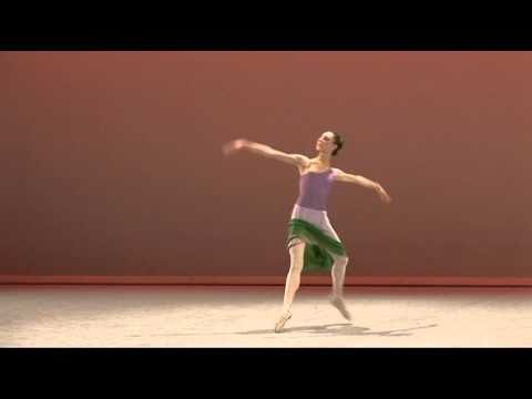 Selections 2010 - Contemporary Variation - Wilma Haydee Giglio