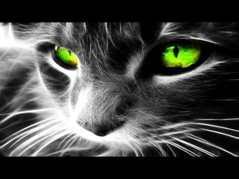 Sakorka - Take Me With You (Original Mix)