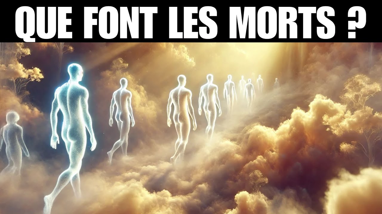 QUE FONT LES MORTS MAINTENANT ?