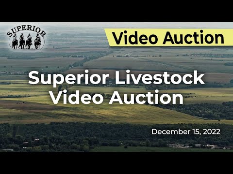 Superior Livestock Video Auction