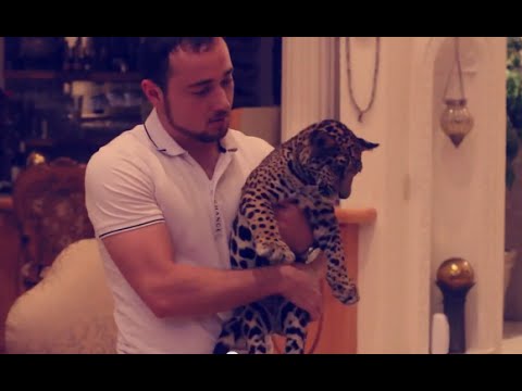 La Favorita - Aires De Grandeza (Video Oficial) (2014) - Invitado: BETO SIERRA