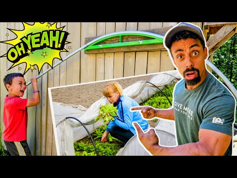 So EASY a KID can do it! SUPER EASY DIY Mini-Greenhouse | Grow More in the GARDEN