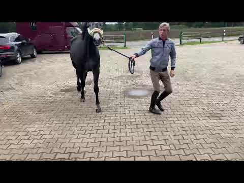 Hashtag:HICKSTEAD WHITE x CHARMING BOY