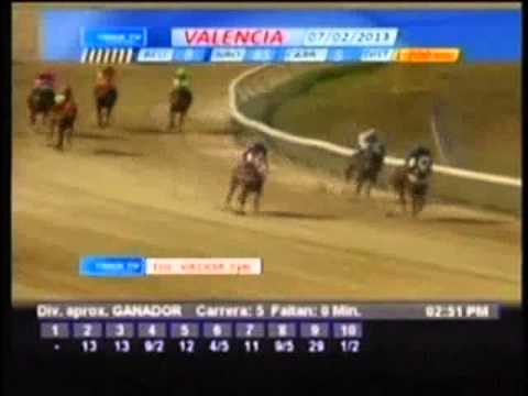 Resumen Jueves, 07 de Febrero de 2013 - Valencia