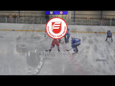 Maalikooste Helmikuu 2020