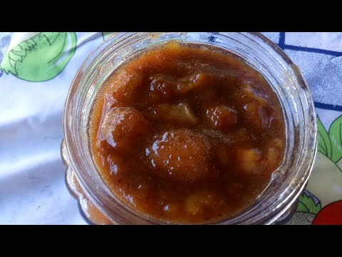 Meu Primeiro Desejo de Grávida