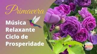 PRIMAVERA Msica Relaxante Ciclo de Prosperidade 1