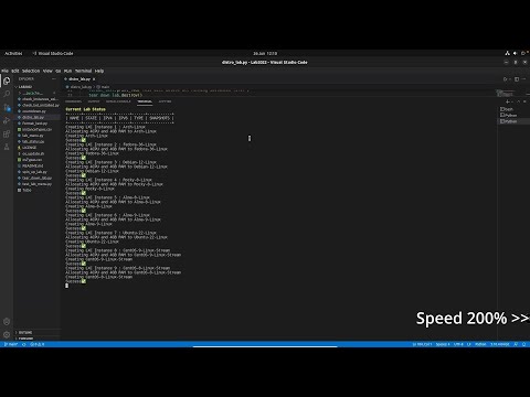 Distro Lab Update Demonstration - running multiple Linux Server Distributions as LXC Containers