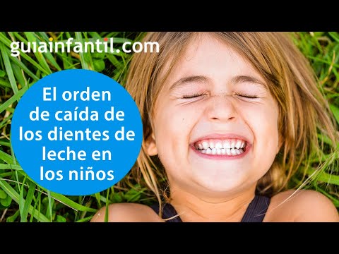 In what order and at what age do children's teeth and molars fall out? | Your Child's Dental Care