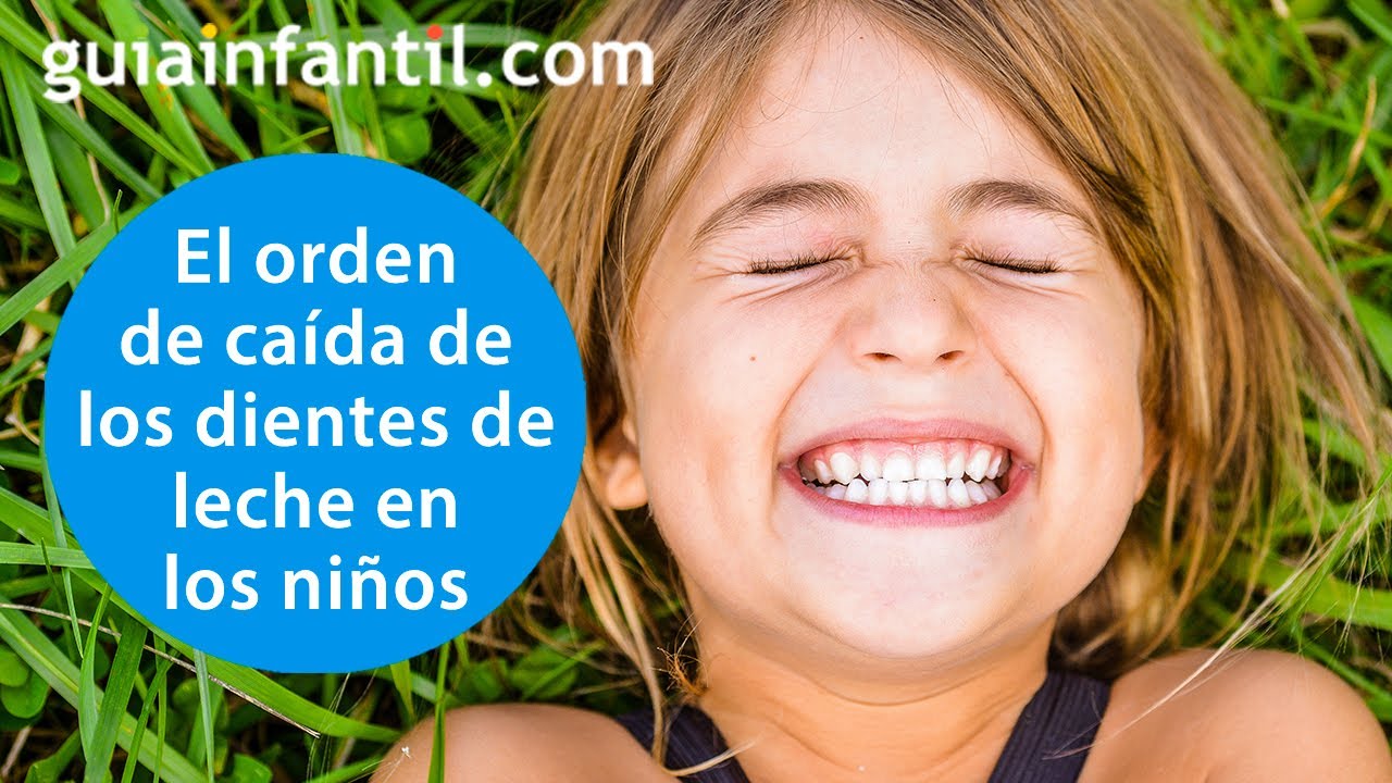 ¿En qué orden y a qué edad se caen dientes y muelas de los niños | Cuidado dental de tu hijo
