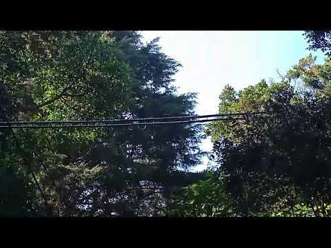 Paso Aereo Survivors Los Ángeles, San José de la Montaña
