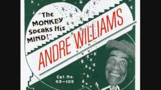 Andre Williams - 