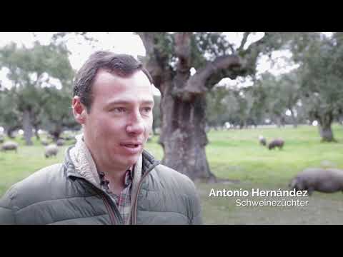 Ibérico-Schinken - Ein "Leckerbissen für Auserwählte"