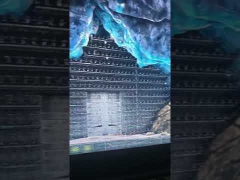 RIP MY BASE NEXT ARK UPDATE ARK OFFICIAL PVP