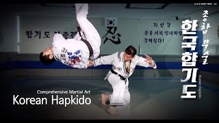 Download lagu 13 Korean Hapkido Comprehensive Martial mp3