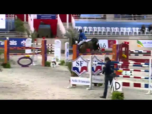 Half-brother of the mother of this Implanted Embryo is the Zangersheide approved, Grand Prix CSI 1.50m horse Vivaldi du Seigneur with rider Penelope Leprevost.