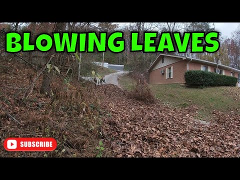 Leaf Blowing MASSIVE amount of LEAVES with the RedMax EBZ8560!