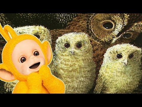 Storybook Pack - Teletubbies - Full Episode Compilation | WildBrain - Preschool