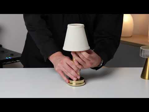 Changing the LED bulb on your NEOZ N1 Light Engine