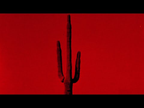 Bad Flamingo - Keep Off of You (Audio)