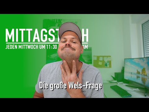 🐍 Überall nur noch Welsalarm? 🙄 | Baum auf’s Zelt ⛺️ - Obacht | Mittagstisch #119