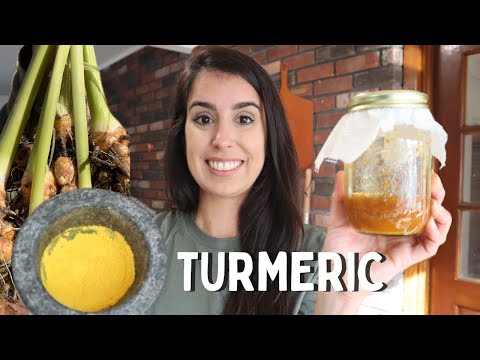 Making Homemade Turmeric Powder & Fermented 'Turmeric Bug' (For wild sodas)