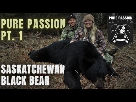 SHE ARROWED A HUGE BEAR! | Saskatchewan Black Bears