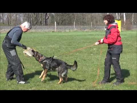 Lara Zde-Sko, 5,5 months