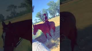 D8F104A9 673A 4FCD A5AC 6D4BA79B7BD3