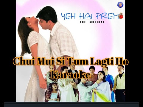 Chui Mui Si Tum Lagti Ho   Karaoke
