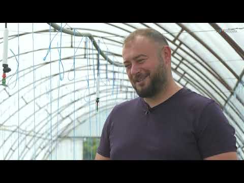 Răzvan Beraru din Opatița s-a apucat de legumicultură în 2017 #SatulMeu @TVRTM