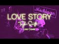 Taylor Swift - Love Story [Live Cover]
